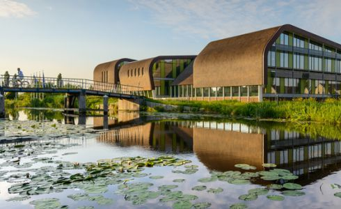 Schoonmaakservice in Midden-Delfland