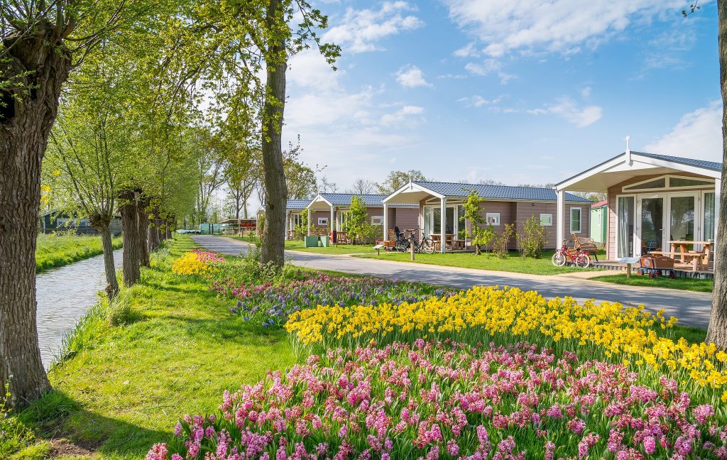 Schoonmaakservice in Molenwaard